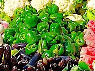 Capsicum