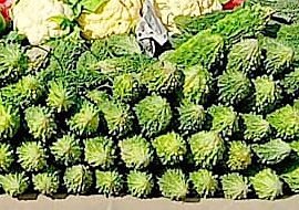 Bitter gourd