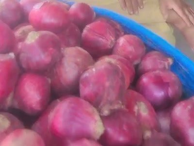 Onion
